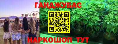 стаф Ставрополь