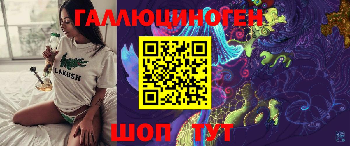 Галлюциногенные грибы Psilocybine cubensis Валуйки